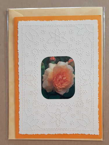 Card - Floral - Blank